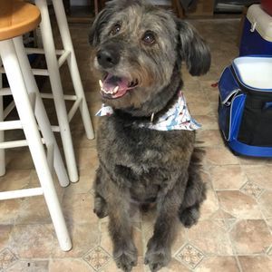 Meet your Posher, Roxie